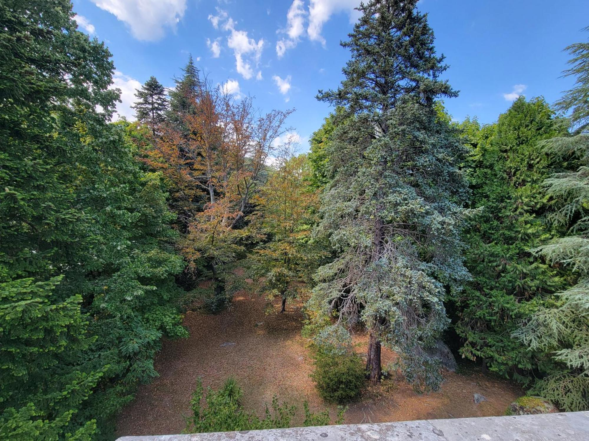 Le Temps Des Cerises Hotel Genolhac Kültér fotó